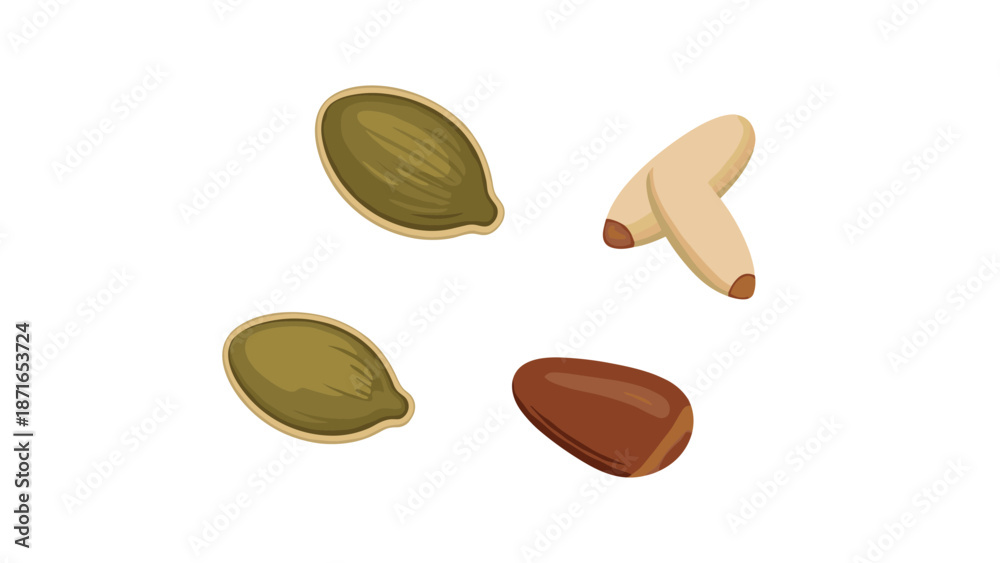 Fototapeta premium A small collection of healthy seeds including pumpkin seeds and pine nuts, illustrated in a simple, clean vector style on a white background.