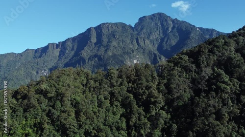 An aerial view of green forest with mountains in the background against a clear blue sky, capturing the sharp contours of nature and the fresh air.