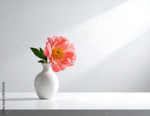 Single peach peony in white vase