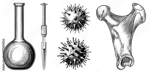 Vintage Scientific Glassware, Microscopic Viruses, and Human Bone Anatomy Illustration