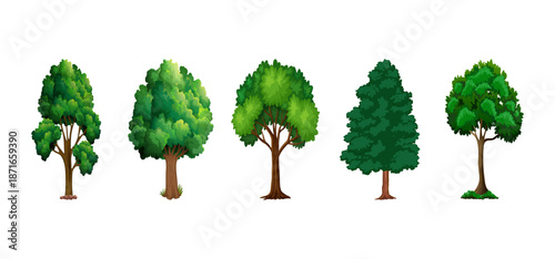 Tree Vector Illustration Collection Featuring Tropical and Orchard Trees with Mango, Apple, Banana, Orange, Coconut Palm and More Isolated on White Background, Colorful Tree Vector Illustration