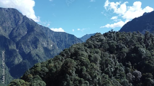 Lush Papua mountain forest covered in fog, featuring steep green slopes, tropical vegetation, and serene highland atmosphere.