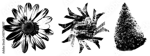 Three Stylized & Natural Forms in Halftone Vector Art