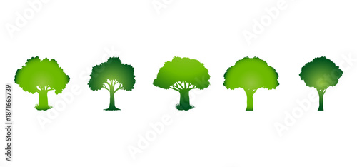 Tree Vector Illustration Collection Featuring Tropical and Orchard Trees with Mango, Apple, Banana, Orange, Coconut Palm and More Isolated on White Background, Colorful Tree Vector Illustration