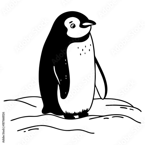 penguin vector illustration