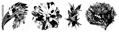 Abstract Black and White Animal & Silhouettes with Geometric Textures