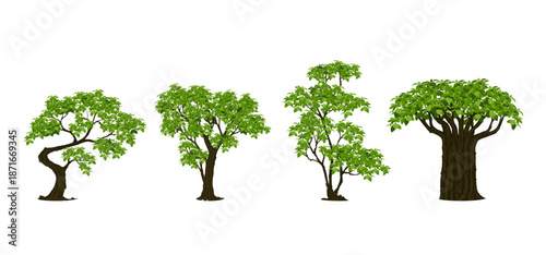 Tree Vector Illustration Collection Featuring Tropical and Orchard Trees with Mango, Apple, Banana, Orange, Coconut Palm and More Isolated on White Background, Colorful Tree Vector Illustration
