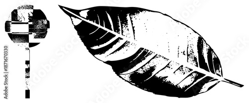 Stylized Leaf and Abstract Circular Glyph in Bold Black and White Vector Art