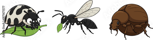 Set of Insect Illustrations Featuring Ant with Leaf and Beetle SpeciesSet of Insect Illustrations Featuring Ant with Leaf and Beetle Species