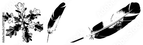 Three Black and White Feather & Snowflake Vector Isolated