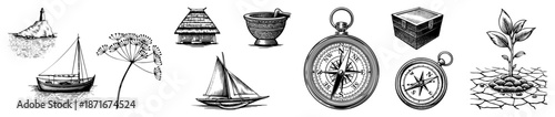 Vintage Nautical & Botanical Illustrations with Compasses and Dandelions