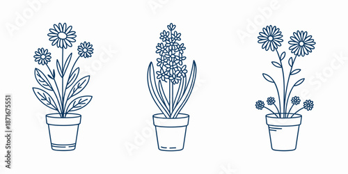 Potted Flowers Line Art Set: Vector Outline Illustrations of Blooming Garden Plants in Pots, Including Daisy and Hyacinth for Nature and Floral Design.