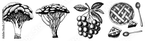 Hand Drawn Black and White Illustration of Broccoli, Grapes, and Pie with Spoons