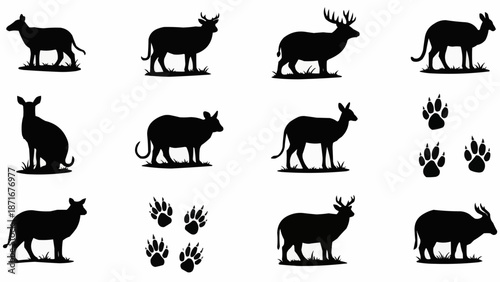 Collection of Animal Silhouettes and Paw Prints.