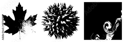 Stylized Black and White Leaf, Spiky Sphere, and Ornamental Scroll Vector Set