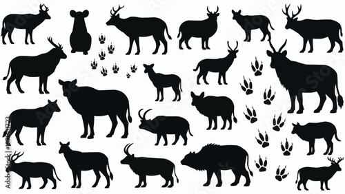 Collection of Diverse Wildlife Animal Silhouettes and Footprints.