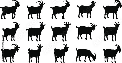Goat silhouettes collection, farm animal poses set, black capra shapes, rural livestock vector illustration isolated on white background