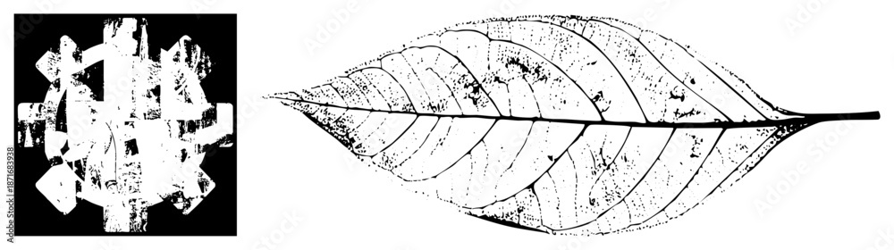 Fototapeta premium Abstract Geometric and Detailed Leaf Vector Illustration