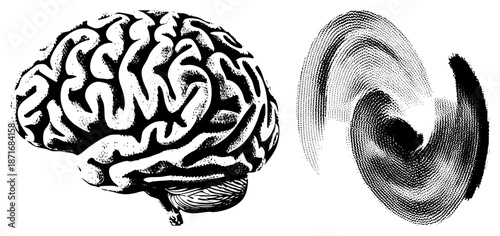 Human Brain Anatomy and Abstract Neural Spiral Vector Illustration