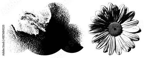 Halftone Daisy and Abstract Ink Splatter Vector Illustration