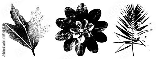 Vintage Halftone Botanical Illustrations of Leaf and Flower Silhouettes