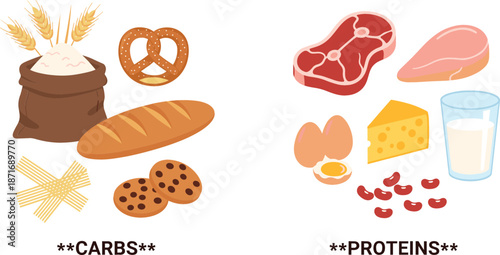 Educational flat vector illustration comparing healthy food groups featuring carbohydrates like bread and pasta versus protein sources including meat eggs and dairy.