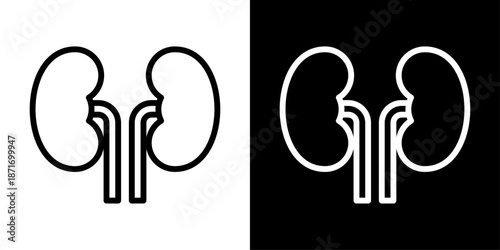 Kidney icon representing human renal system, kidney health, medical anatomy, diagnosis, treatment, and healthcare education.