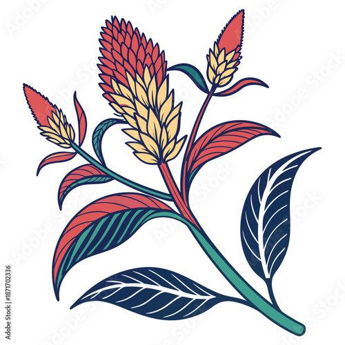 Celosia Flower Spikes with Veined Leaves Illustration
