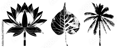 Vintage Grunge Lotus, Aspen Leaf, and Palm Tree Silhouettes in Black and White