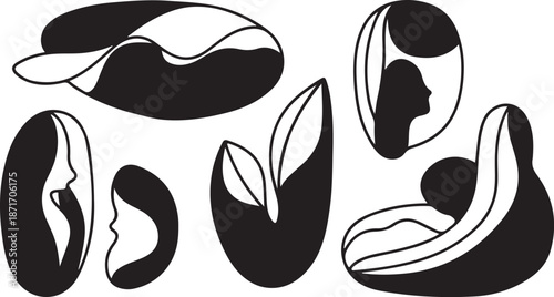 Black and white coffee beans illustrations set