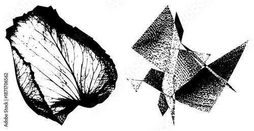 Abstract Geometric Shapes and Organic Leaf in Halftone Vector Art