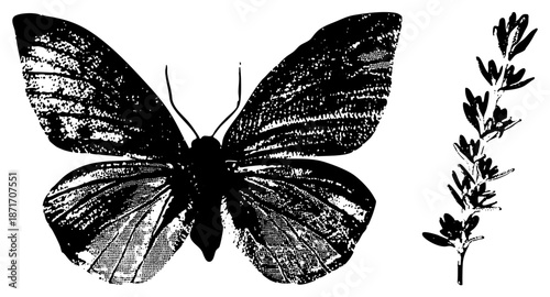 Vintage Halftone Butterfly with Lavender Sprig Illustration