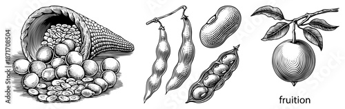 Vintage Illustration of Corn, Beans, and Fruit in Classic Engraved Style
