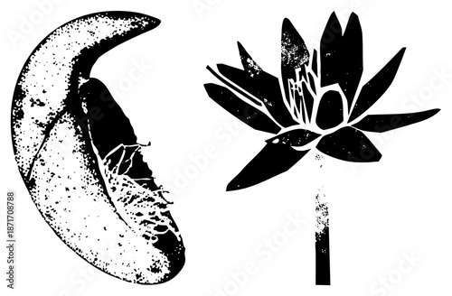 Moon and Lotus Flower Silhouettes with Halftone Texture