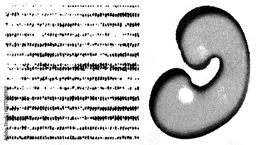 Halftone Rendered Kidney with Dot Texture