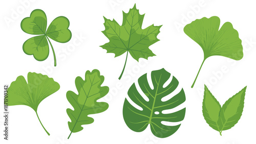 Diverse Green Leaf Collection Vector Art: Clover, Maple, Ginkgo, Oak, Monstera