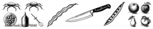 Vintage Engraved Illustration of Crustaceans, Legumes, and Fruits with Knife