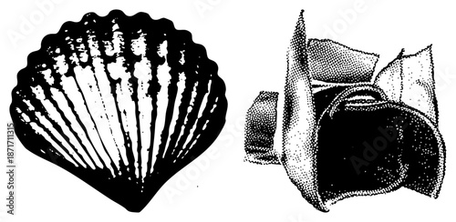 Two Marine Illustrated in Halftone Vector Style