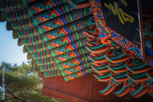 Canvas Print Vibrant Dancheong: Intricate patterns of The first gate(Iljumun) of Traditional