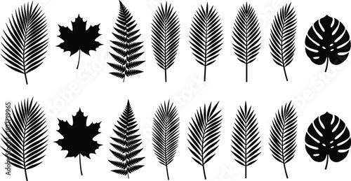 Tropical and forest leaf silhouettes collection including palm fern maple monstera botanical foliage icons isolated on white backgroundTropical