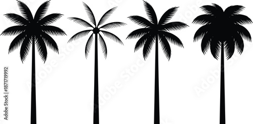 Tropical palm tree silhouettes collection isolated on white background exotic summer nature landscape botanical vector illustration set