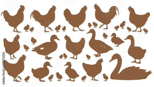 Brown silhouettes of chickens ducks and swan with chicks