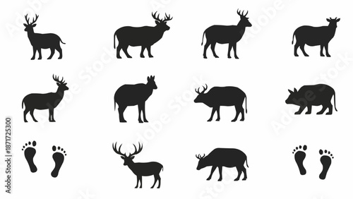 Collection of Animal Silhouettes and Footprints.
