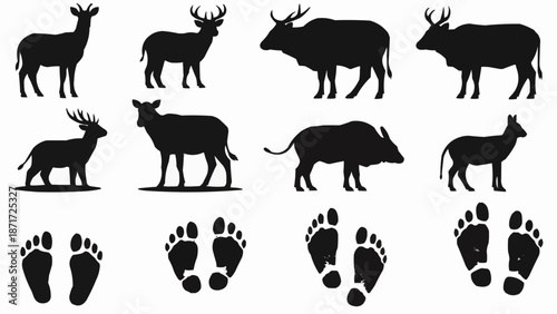Collection of Animal Silhouettes and Footprints.