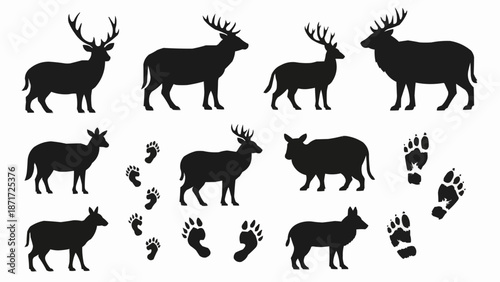 Collection of Deer and Animal Footprint Silhouettes.