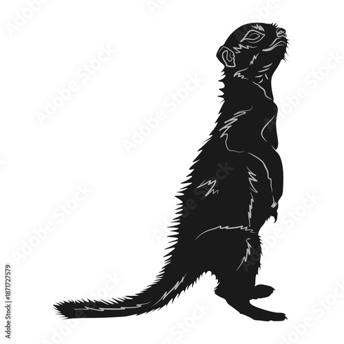 silhouette vector design of a suricata animal standing observing