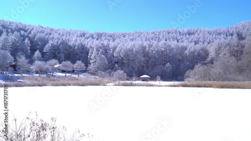 聖高原　中牧湖の霧氷