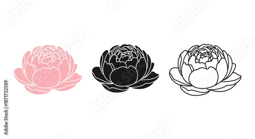 Minimalist illustration set of peony silhouettes, Symbolizing richness and delicacy, flat vector design illustration.