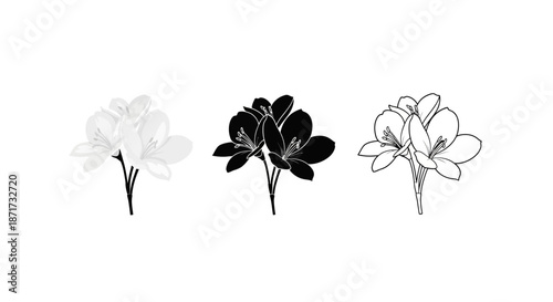 Minimalist illustration set of magnolia silhouettes, Symbolizing elegance and strength, flat vector design illustration.