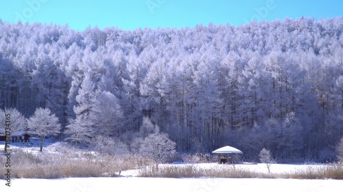 聖高原　中牧湖の霧氷